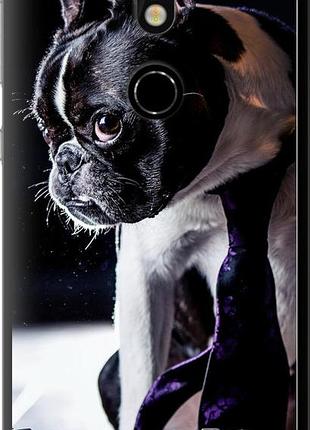 Чехол на nokia 7 бульдог-фотограф "142u-1367-10746"