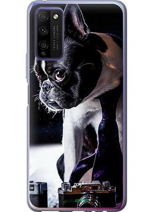 Чехол на huawei honor 30 lite бульдог-фотограф "142u-2074-10746"