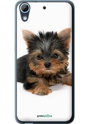 Чехол на htc desire 626g щенок йоркширского терьера "931u-144-10746"