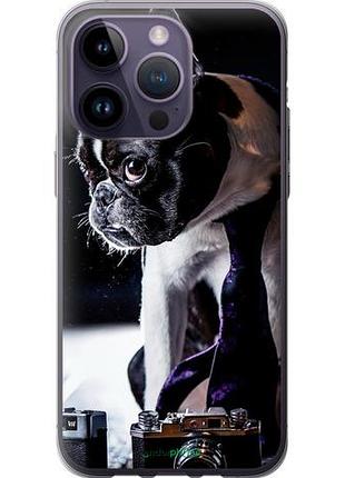 Чехол на iphone 14 pro max бульдог-фотограф "142u-2667-10746"