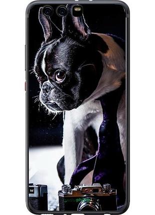 Чехол на huawei p10 plus бульдог-фотограф "142u-963-10746"