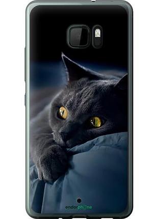 Чехол на htc u ultra дымчатый кот "825u-833-10746"
