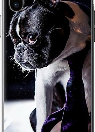 Чохол на iphone x бульдог-фотограф "142u-1050-10746"