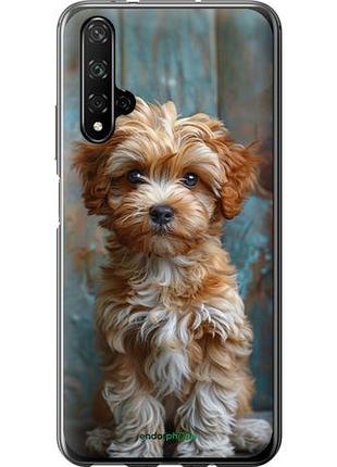 Чехол на huawei honor 20 щенок мальтипу "6157u-1697-10746"