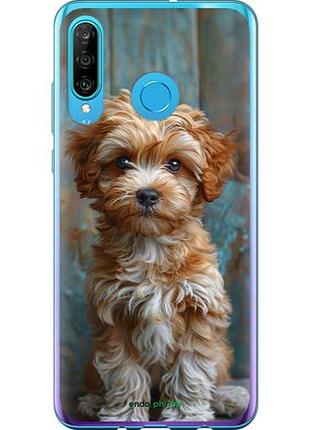 Чехол на huawei p30 lite щенок мальтипу "6157u-1651-10746"