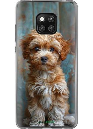 Чехол на huawei mate 20 pro щенок мальтипу "6157u-1567-10746"