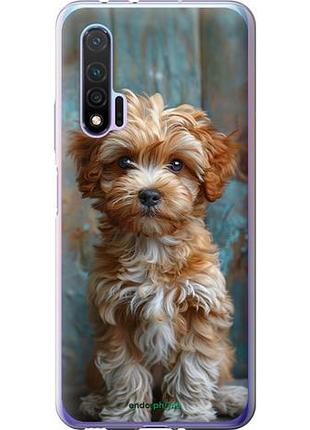 Чехол на huawei nova 6 щенок мальтипу "6157u-1821-10746"