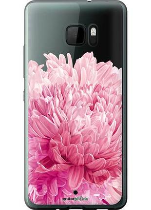 Чехол на htc u ultra хризантема "4666u-833-10746"