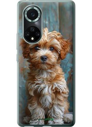 Чехол на huawei nova 9 pro щенок мальтипу "6157u-2503-10746"
