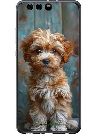 Чехол на huawei p10 plus щенок мальтипу "6157u-963-10746"