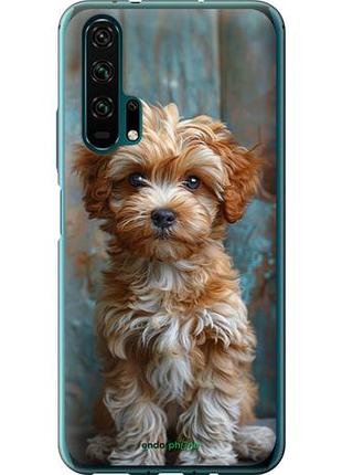 Чехол на huawei honor 20 pro щенок мальтипу "6157u-1702-10746"