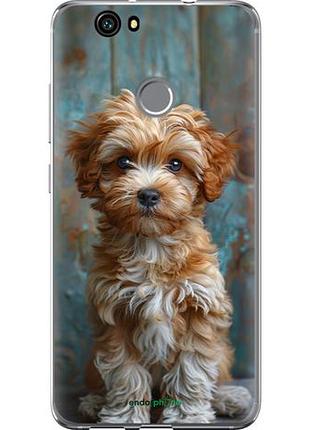 Чехол на huawei nova щенок мальтипу "6157u-439-10746"