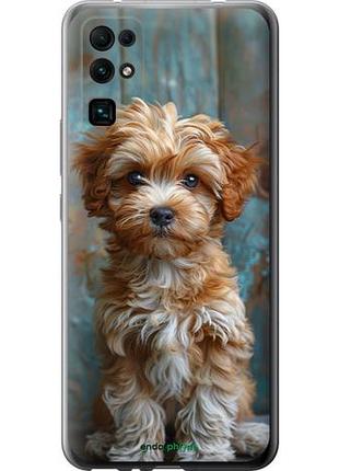 Чехол на huawei honor 30 щенок мальтипу "6157u-1921-10746"