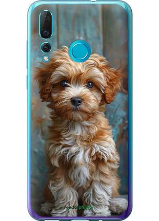 Чехол на huawei nova 4 щенок мальтипу "6157u-1632-10746"