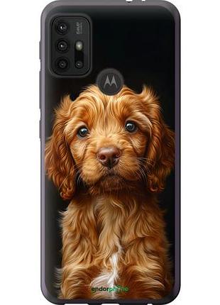 Чехол на motorola moto g20 cocker spaniel на черном фоне "6137u-2461-10746"