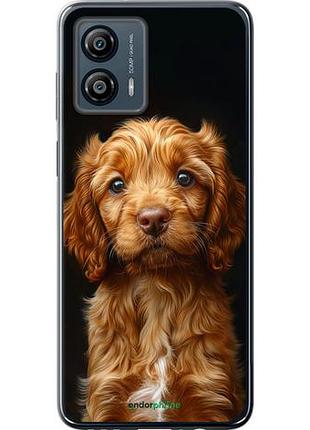 Чехол на motorola moto g53 cocker spaniel на черном фоне "6137u-3047-10746"