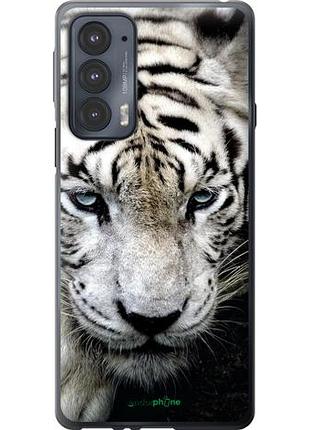 Чохол на motorola edge 20 грусний білий тигр "106u-2497-10746"