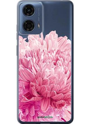 Чехол на motorola moto g24 power хризантема "4666u-3665-10746"
