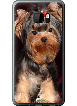 Чохол на htc u ultra йоркширський тер'єр "9293-833-10746"