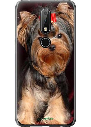 Чехол на nokia 6.1 plus йоркширский терьер "929u-1539-10746"