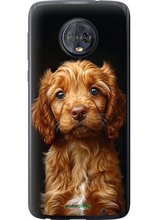 Чехол на motorola moto g6 plus cocker spaniel на черном фоне "6137u-976-10746"