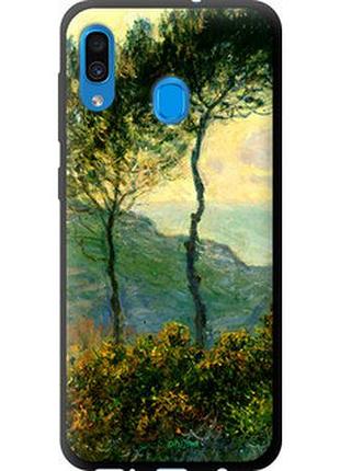 Чехол на samsung galaxy a20 2019 a205f клод моне "1193b-1761-2448"
