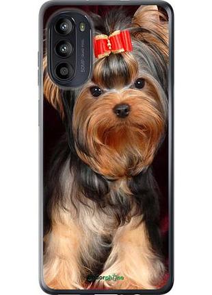 Чохол на motorola moto g52 йоркширський тер'єр "929u-2691-10746"