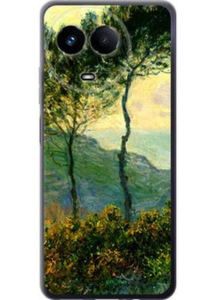 Чехол на realme realme 11 5g клод моне "1193u-3175-2448"