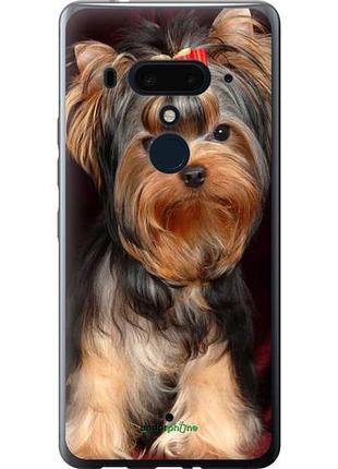 Чохол на htc u12 plus йоркширський тер'єр "9293-1712-10746"