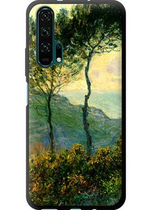 Чехол на huawei honor 20 pro клод моне "1193b-1702-2448"