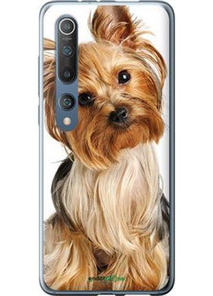 Чехол на xiaomi mi 10 йоркширский терьер с хвостиком "930u-1860-2448"