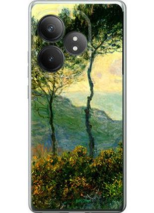 Чехол на realme gt neo6 клод моне "1193u-3858-2448"