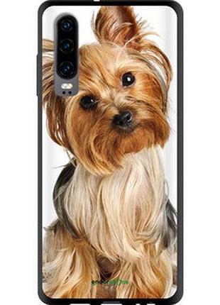 Чехол на huawei p30 йоркширский терьер с хвостиком "930b-1622-2448"