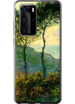 Чехол на huawei p40 pro клод моне "1193t-1839-2448"