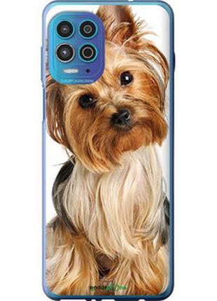 Чехол на motorola g100 йоркширский терьер с хвостиком "930u-2359-2448"