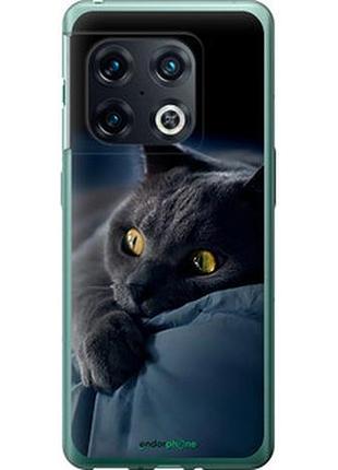 Чехол на oneplus 10 pro дымчатый кот "825u-2588-2448"