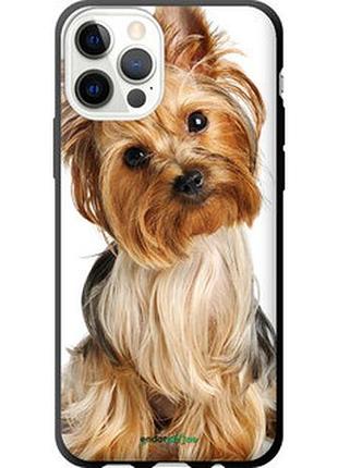 Чехол на iphone 12 pro йоркширский терьер с хвостиком "930b-2052-2448"