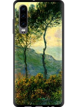 Чехол на huawei p30 клод моне "1193b-1622-2448"