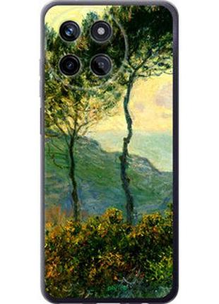 Чехол на realme realme 11 клод моне "1193u-3120-2448"