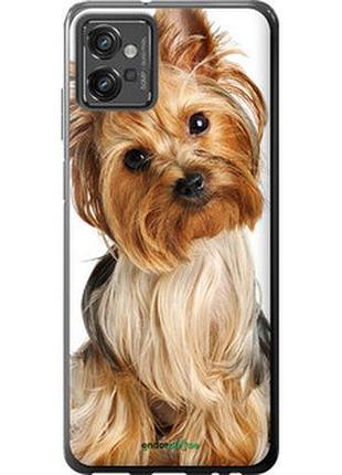 Чехол на motorola g32 йоркширский терьер с хвостиком "930u-2845-2448"