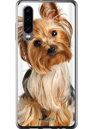 Чехол на huawei p30 йоркширский терьер с хвостиком "930u-1622-2448"