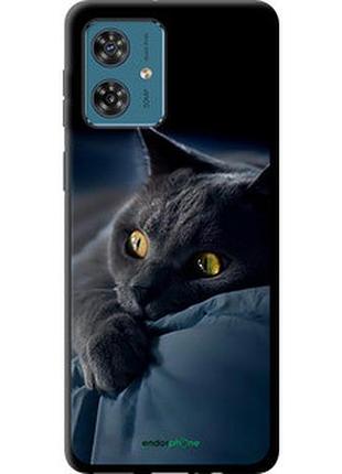 Чохол на motorola moto g54 димчастий кіт "825b-3339-2448"