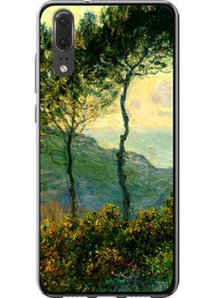 Чехол на huawei p20 клод моне "1193u-1396-2448"