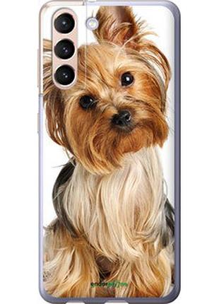 Чохол на samsung galaxy s21 йоркширський тер'єр з хвостиком "930u-2114-2448"