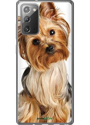 Чохол на samsung galaxy note 20 йоркширський тер'єр із хвостиком "93096-2448"