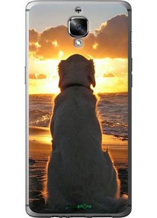 Чехол на oneplus 3 закат и собака "3966u-334-2448"