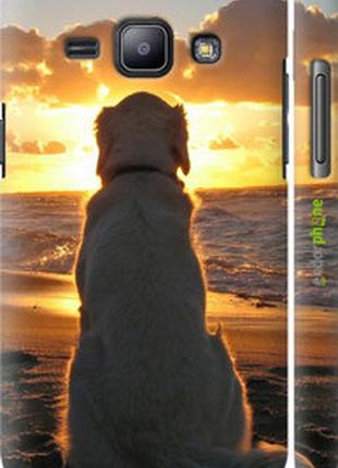 Чехол на samsung galaxy j1 j100h закат и собака "3966m-104-2448"