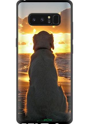 Чехол на samsung galaxy note 8 закат и собака "3966b-1020-2448"