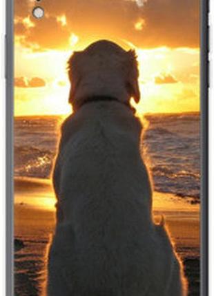 Чехол на iphone xr закат и собака "3966sp-1560-2448"