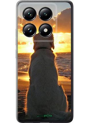Чехол на xiaomi 14t pro закат и собака "3966u-3806-2448"